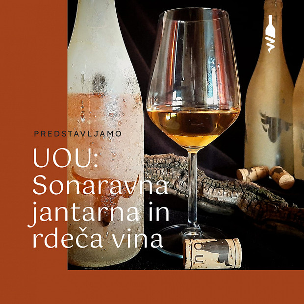 Spoznajte vina UOU, vina opuščenih vinogradov