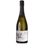 Peneče vino Planet 