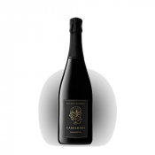 Peneče vino Riserve Sboccature Tardive 2009 Dossagio Zero Camilucci 0,75 l