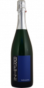 Peneče vino Sekt Extra Brut 2018 Jörg Bretz 0,75 l