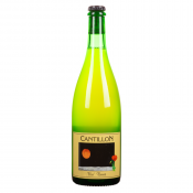 Pivo Fou'Fone Cantillon 0,75 l