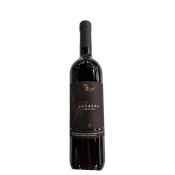 Vino Barbera Lisjak 1956 0,75 l