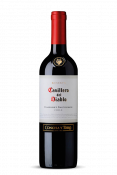 Vino Cabernet Sauvignon 2020 Casillero del Diablo 0,75 l