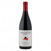 Vino Pinot Noir Incline 2023 Domaine Roy & Fils 0,75 l