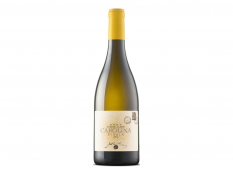 Vino Rebula Carolina 2015 Jakončič 0,75 l