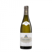 Vino Saint Aubin 1er Cru 2018 Albert Bichot 0,75 l