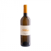 Vino Sauvignon 2019 Blažič 0,75 l