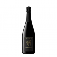 Peneče vino Ammonites Dossagio Zero Camilucci 0,75 l