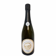 Peneče vino FRANCIACORTA brut millesimato 2018 Trudie & Sting 0,75 l