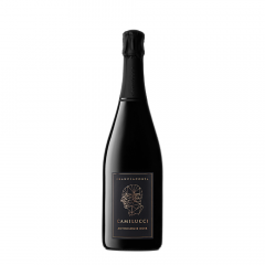 Peneče vino NOIR 2018 Dossagio Zero 2020 Camilucci 0,75 l