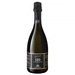 Peneče vino Prosecco DOCG Valdobbiadene Superiore Extra Brut 