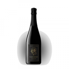 Peneče vino Riserve Sboccature Tardive 2009 Dossagio Zero Camilucci 0,75 l