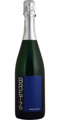 Peneče vino Sekt Extra Brut 2018 Jörg Bretz 0,75 l