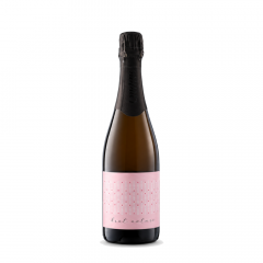 Penina Sivi pinot Extra Brut 2019 Vina Gjerkeš 0,75 l