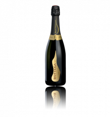 Prosecco POETI DOC Brut Bottega 0,75 l
