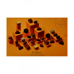 Venchi izbrani čokoladni pralineji 225 g