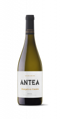 Vino Antea Edicion Limitada Marques de Caceres 0,75 l