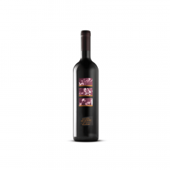 Vino Barbera Sveti Martin 0,75 l