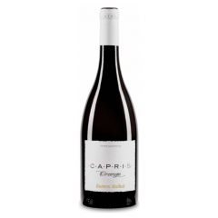 Vino Capris Rumeni Muškat Orange 2015 Vinakoper 0,75 l