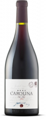 Vino Carolina Noir 2017 Jakončič 0,75 l