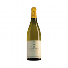 Vino Etna Bianco 2020 Terre Nere 0,75 l