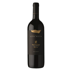 Vino Lagrein Riserva Castel Ringberg 2015 Elena Walch 0,75 l