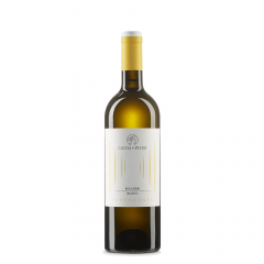 Vino Lungocosta Bolgheri DOC 2023 Caccia al Piano 0,75 l