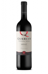 Vino Merlot Quercus Klet Brda 0,20 l