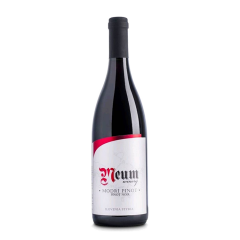 Vino Modri pinot 2019 Meum Winery 0,75 l