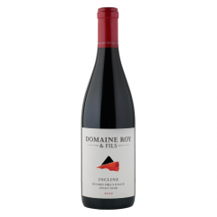 Vino Pinot Noir Incline 2023 Domaine Roy & Fils 0,75 l