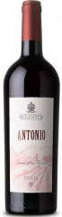 Vino Point 2013 Kollwentz 0,75 l