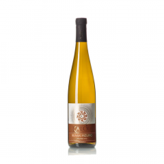 Vino Renski Rizling 2016 Kaloh 0,75 l