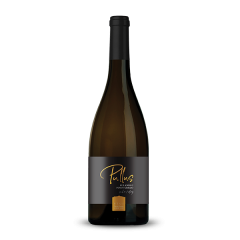 Vino Rulandec Artisan Ptujska Klet 0,75 l