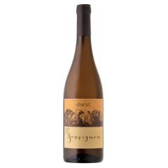 Vino Sauvignon 2020 Ducal 0,75 l