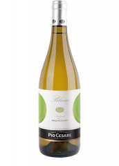 Vino Sauvignon Blanc DOC 2022 Pio Cesare 0,75 l