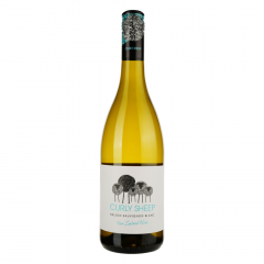 Vino Sauvignon Blanc Nelson 2025 Curly Sheep 0,75 l