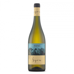 Vino Šipon 2022 Ducal 0,75 l