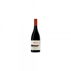 Vino Syrah Hawkes Bay 2015 Blank Canvas 0,75 l