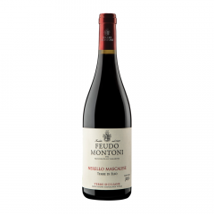 Vino Terre di Elio Nerello Mascalese Feudo Montoni 0,75 l