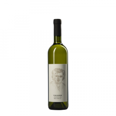 Vino Vugava Antique 2022 Vislander 0,75 l