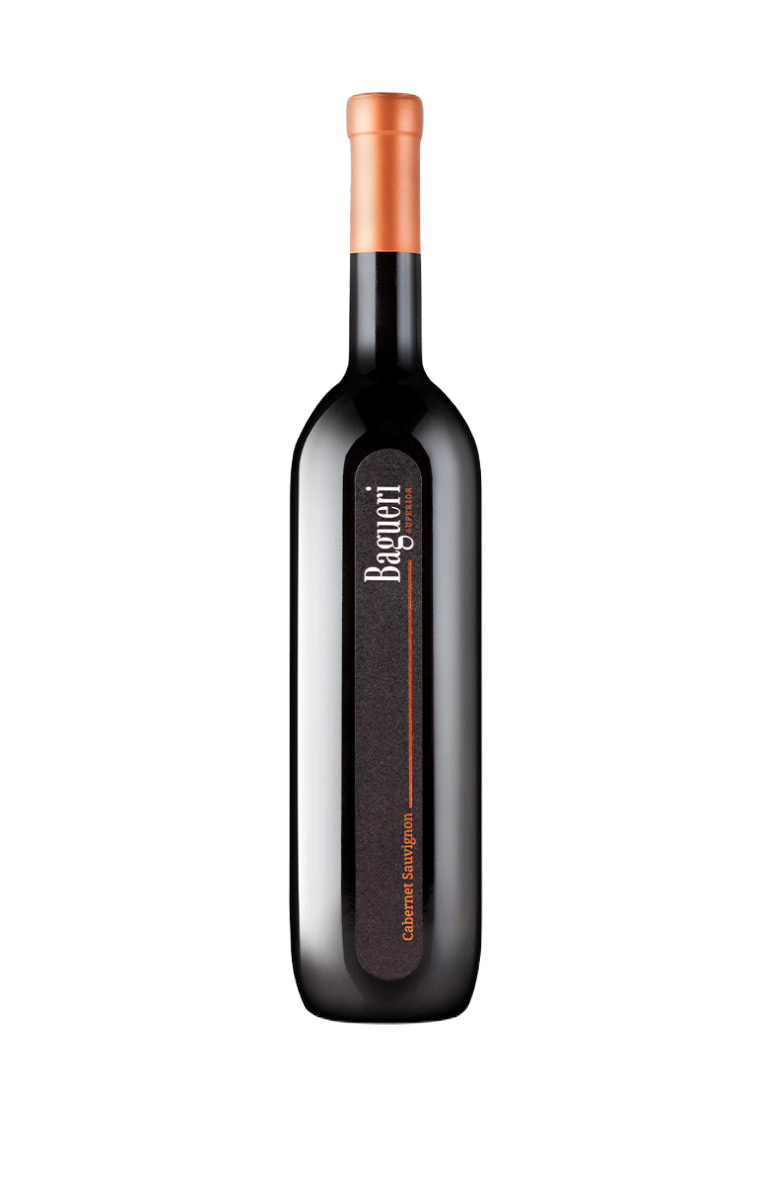 Vino Cabernet Sauvignon Bagueri 2019 Klet Brda 0,75 l