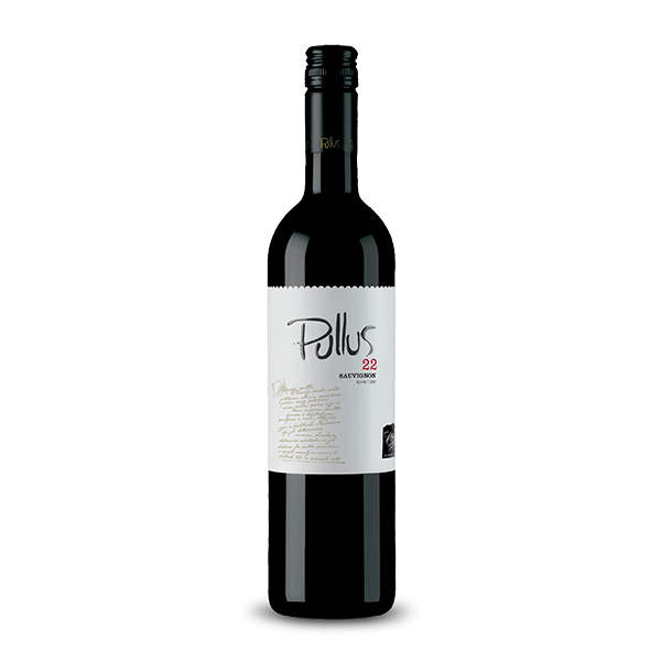 Vino Sauvignon Pullus Ptujska Klet 0,75 l