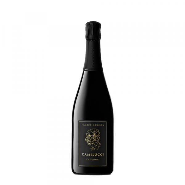 Peneče vino Ammonites Dossagio Zero Camilucci 0,75 l