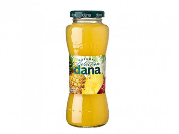 Sok Ananas 100% DANA STK 0,2 l