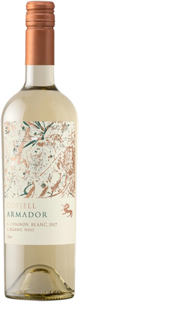 Vino Armador Cabernet Sauvignon 2018 Odfjell 0,75 l