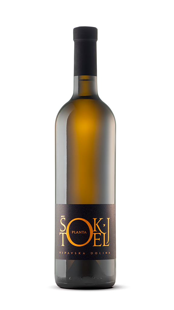 Vino Planta Bela Štokelj 0,75 l