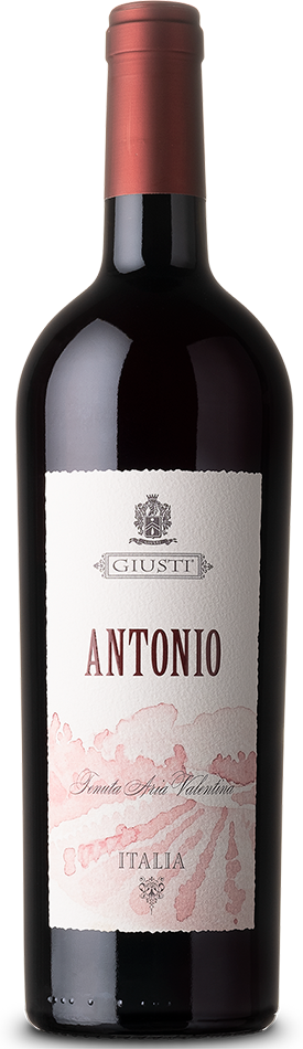 Vino Point 2013 Kollwentz 0,75 l