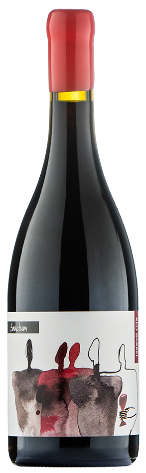 Vino Red Barrel Sanctum + WB 1,5 l