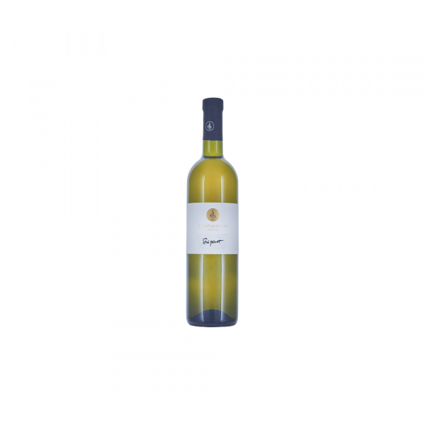 Vino Sivi pinot 2025 Domačija Bizjak 0,75 l