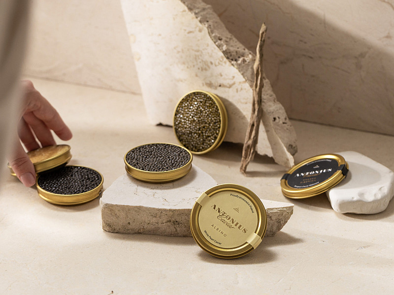 Novo v ponudbi: Antonius Caviar